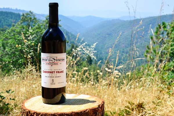 Brice Station Vineyards Cabernet Franc