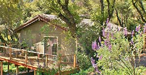 Murphys Vacation Rentals: Gallery House