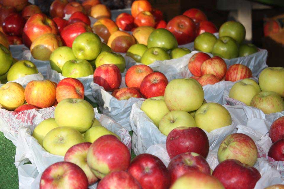 The Red Apple