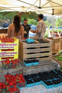 Angels Camp Farmers Market | Carol Richardson