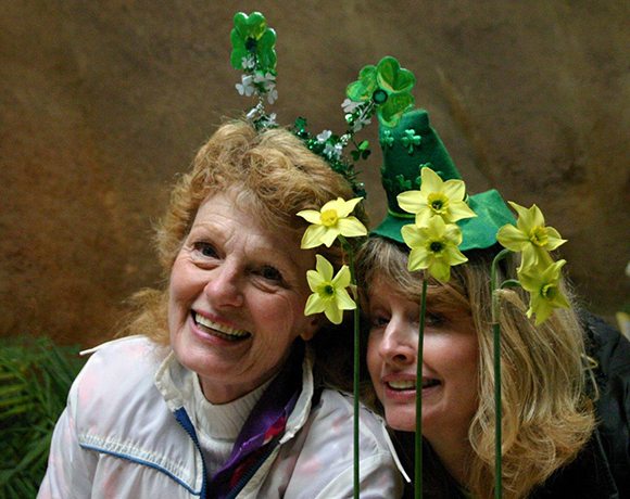Mother Lode Daffodil Show | Bob Spotts