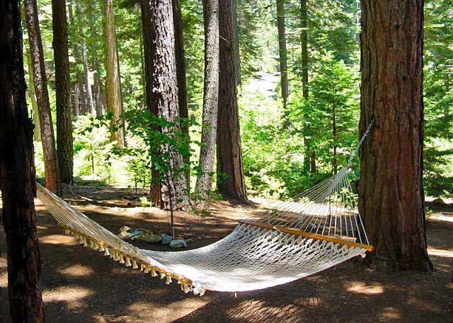 Sierra Vacation Rentals