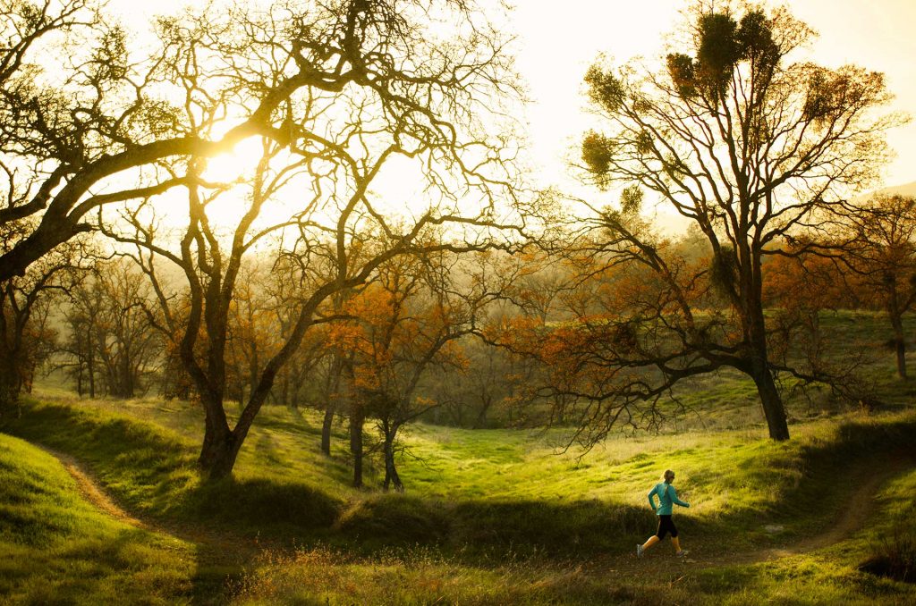 Running New Melones trails in the fall | Jason Smith