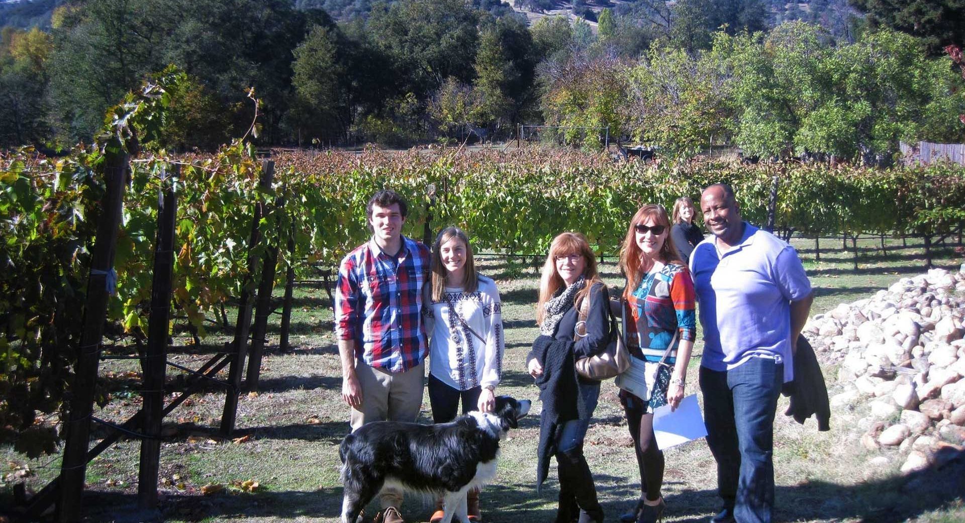 courtwood wine tasting tours
